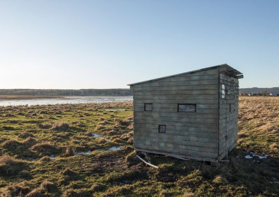 Gömsle för fågelskådning och fotografering